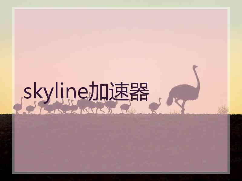 skyline加速器