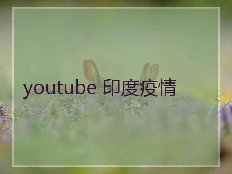 youtube 印度疫情