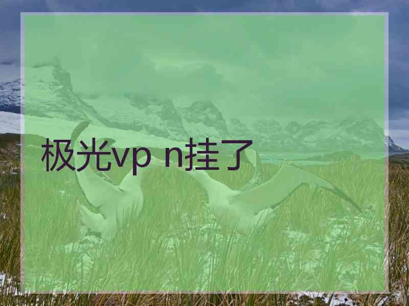 极光vp n挂了