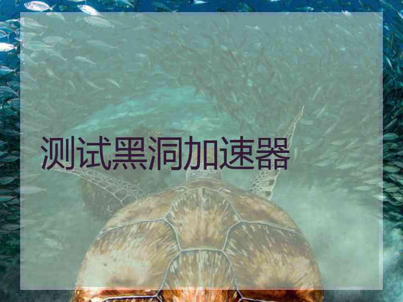 测试黑洞加速器