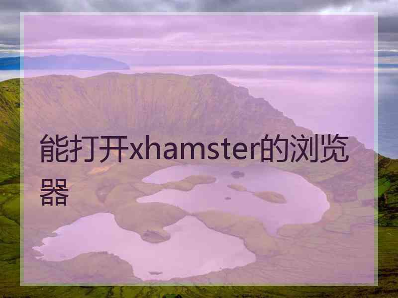 能打开xhamster的浏览器