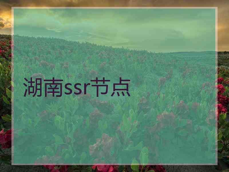 湖南ssr节点