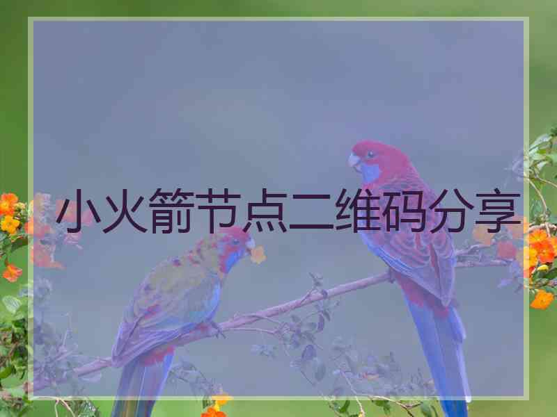 小火箭节点二维码分享