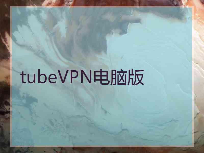 tubeVPN电脑版