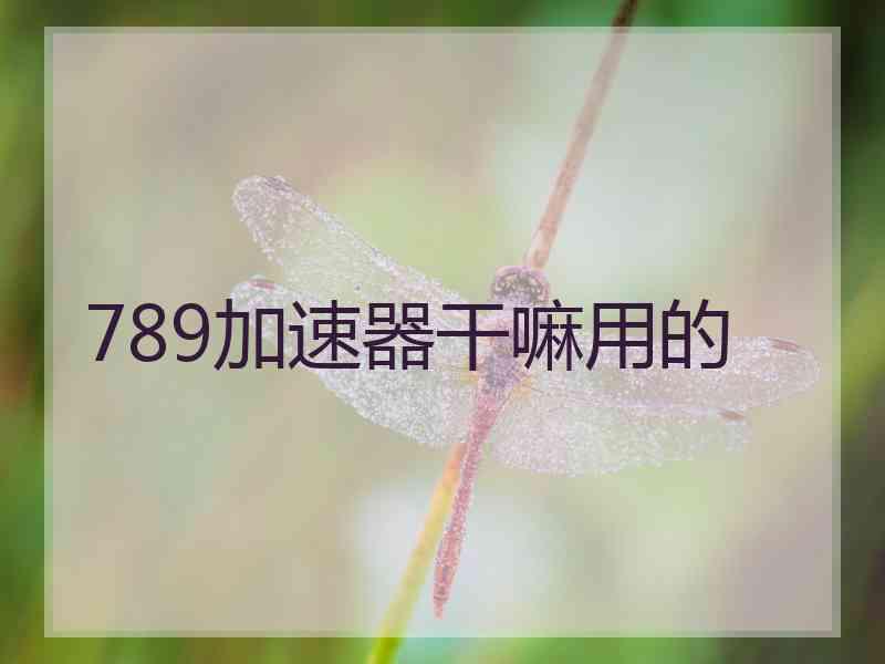 789加速器干嘛用的