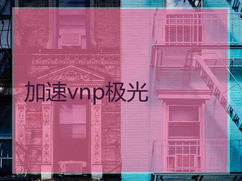 加速vnp极光