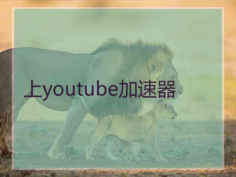 上youtube加速器