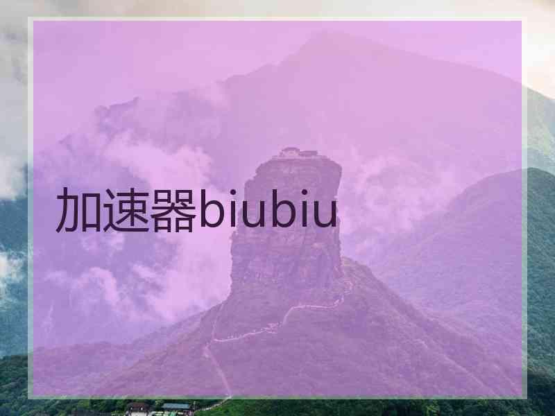 加速器biubiu