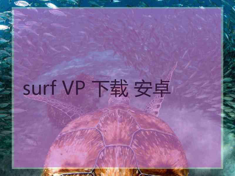 surf VP 下载 安卓