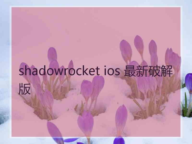 shadowrocket ios 最新破解版