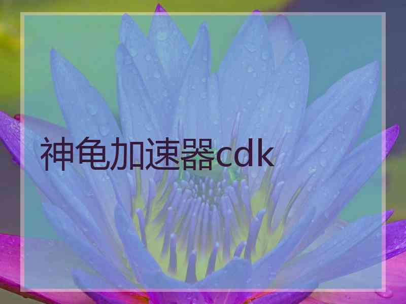 神龟加速器cdk