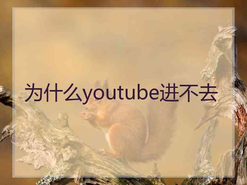 为什么youtube进不去