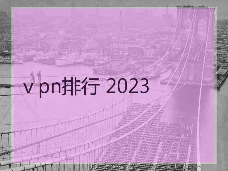 ⅴpn排行 2023