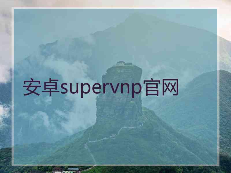 安卓supervnp官网