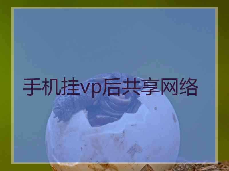 手机挂vp后共享网络