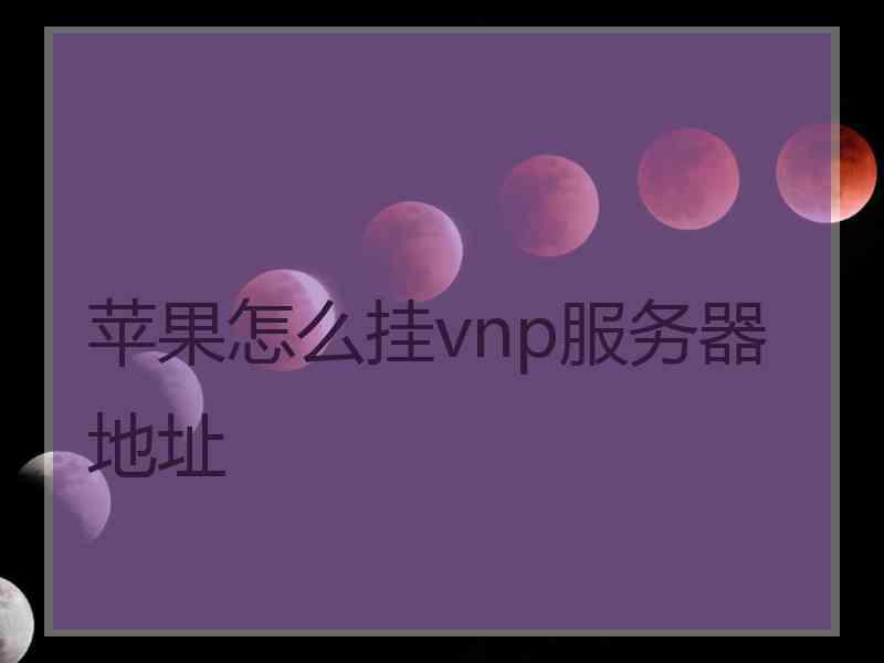 苹果怎么挂vnp服务器地址