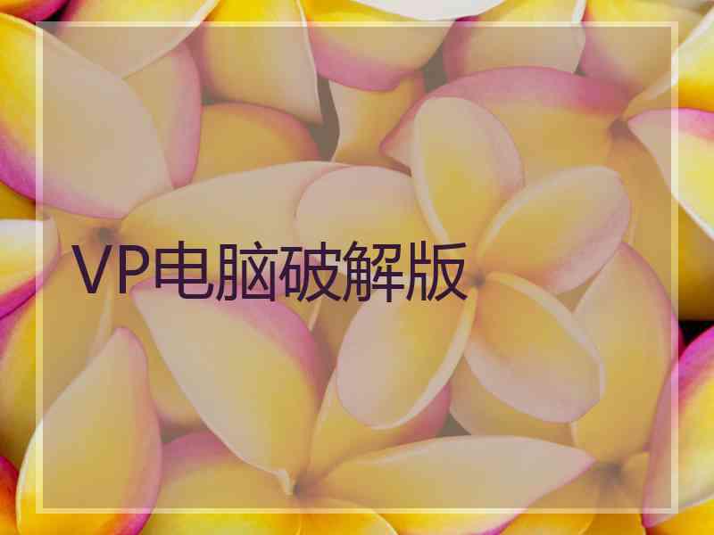 VP电脑破解版