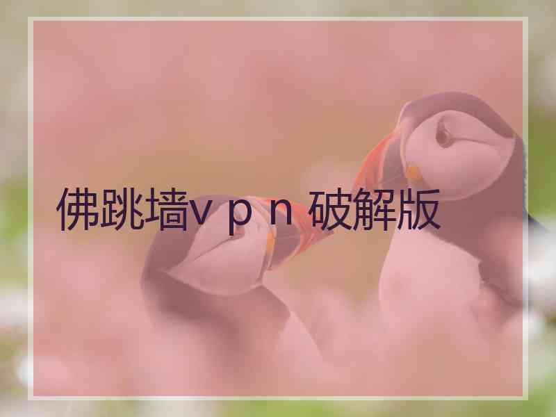 佛跳墙v p n 破解版