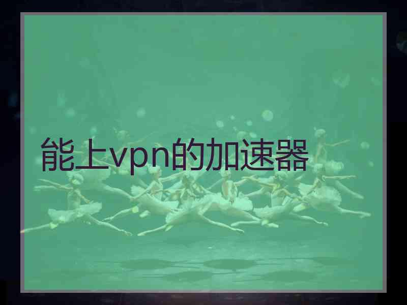 能上vpn的加速器