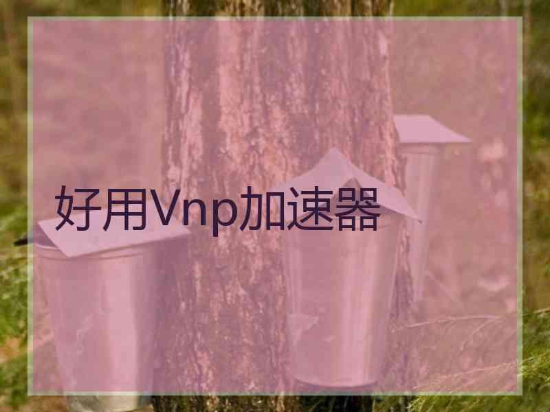 好用Vnp加速器