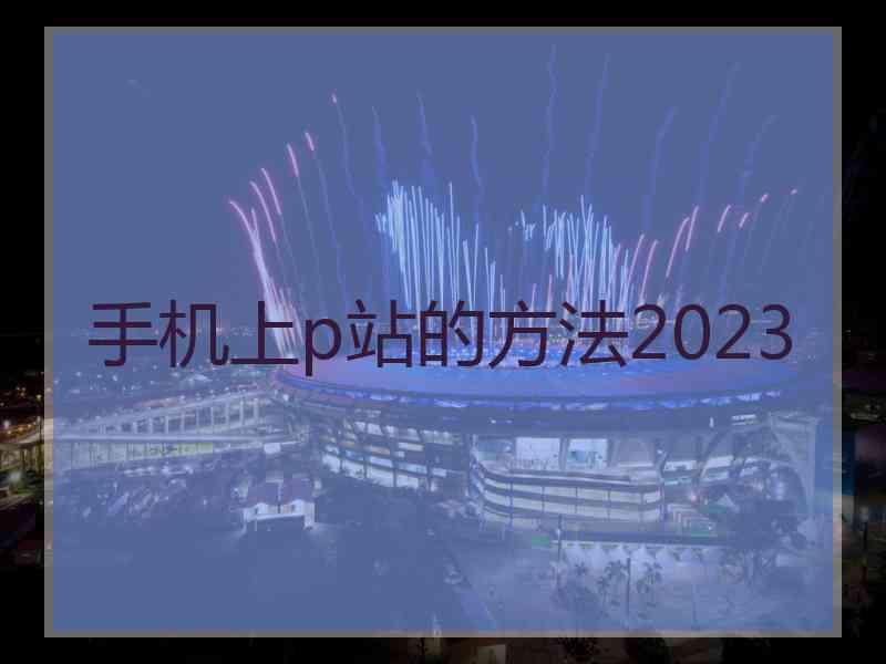 手机上p站的方法2023