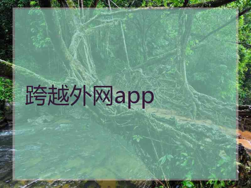 跨越外网app