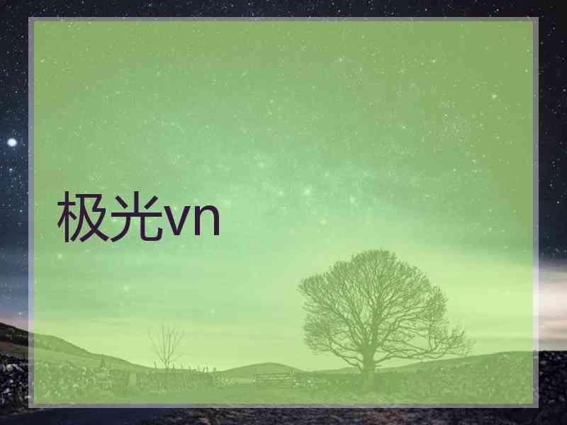 极光vn