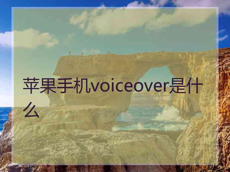 苹果手机voiceover是什么