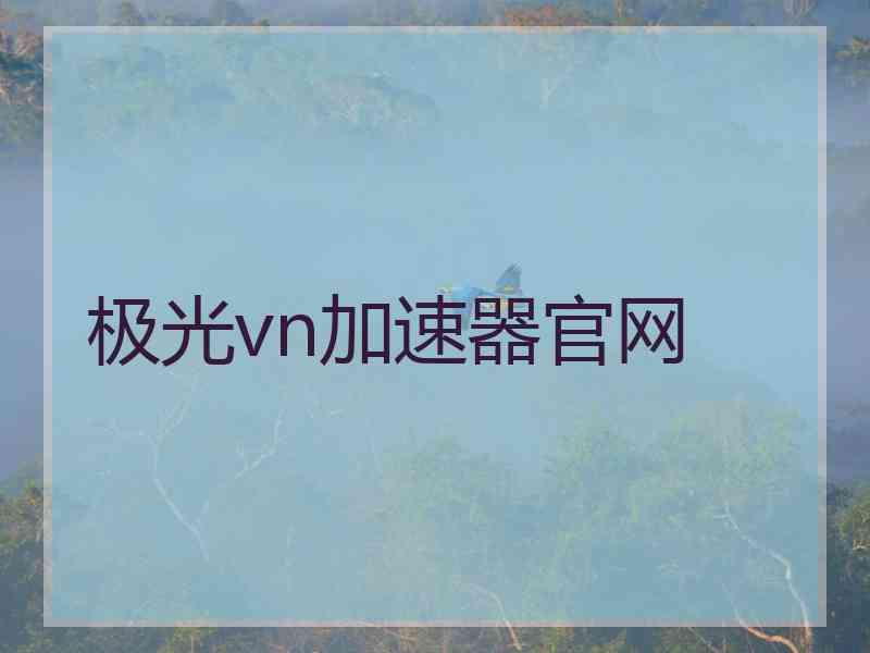 极光vn加速器官网