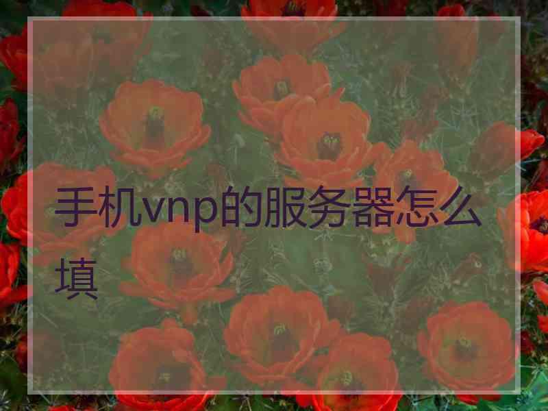 手机vnp的服务器怎么填