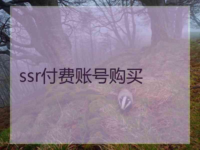 ssr付费账号购买