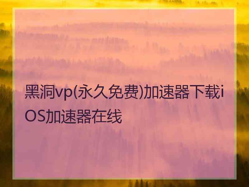 黑洞vp(永久免费)加速器下载iOS加速器在线