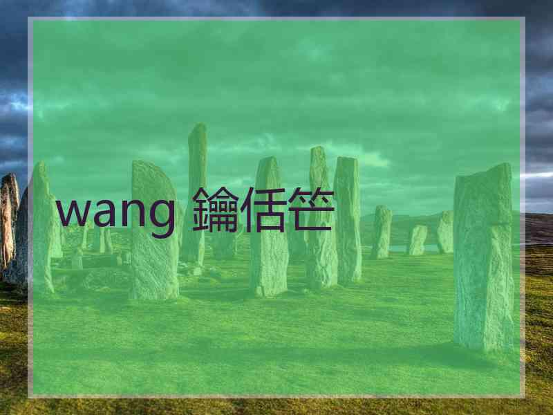 wang 鑰佸笀