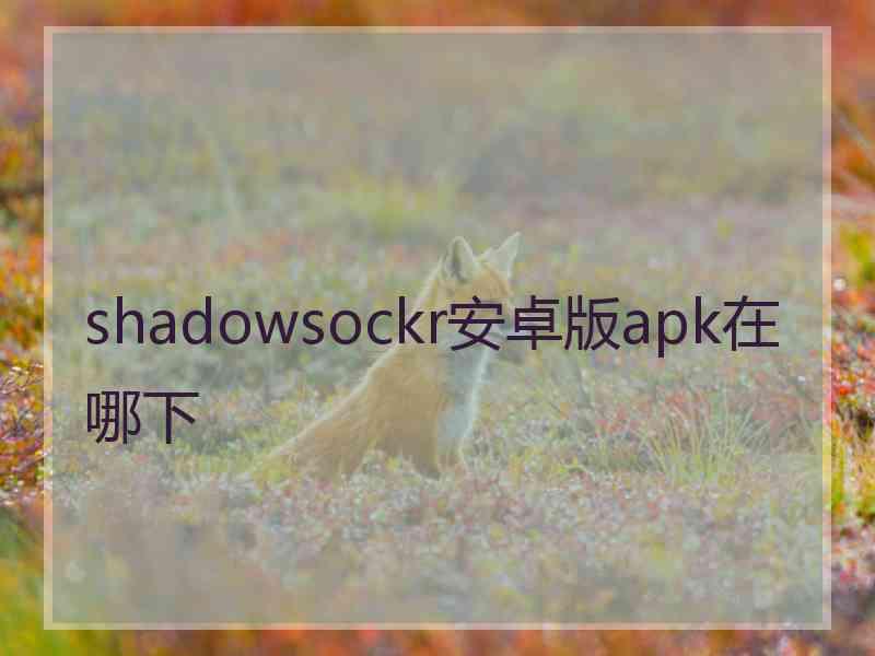 shadowsockr安卓版apk在哪下