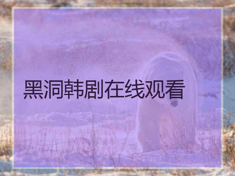 黑洞韩剧在线观看