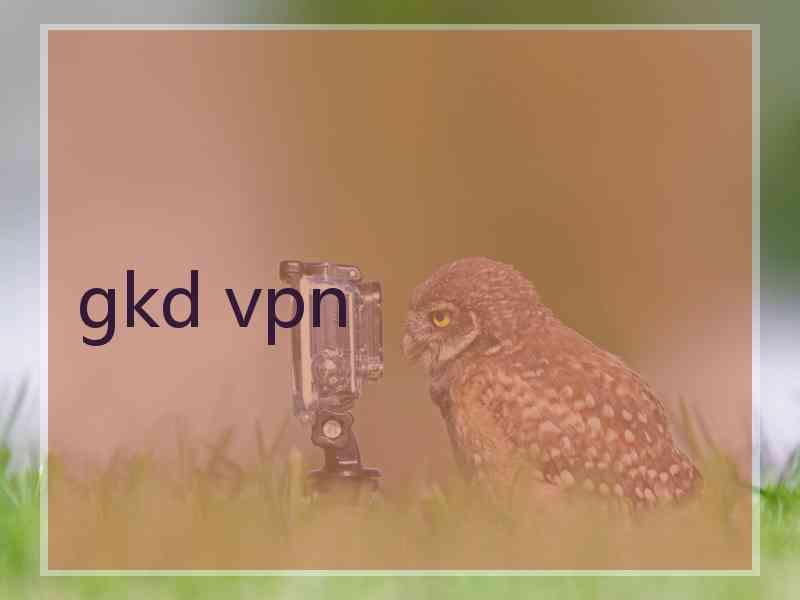 gkd vpn