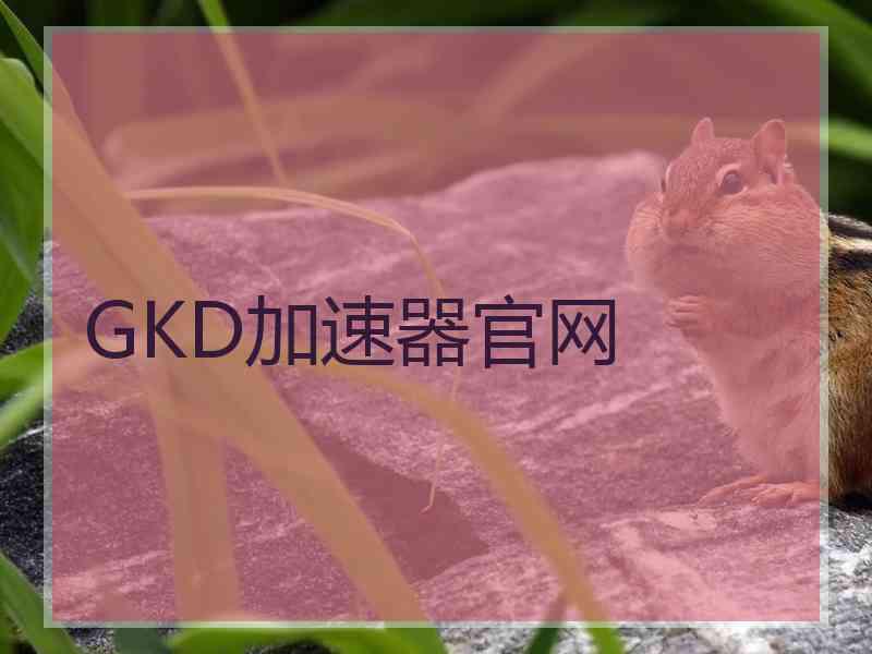 GKD加速器官网