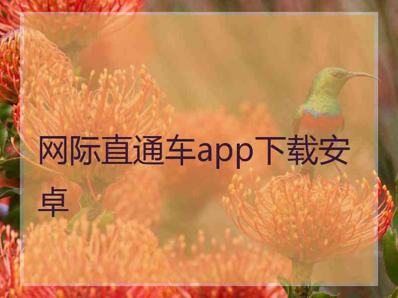 网际直通车app下载安卓