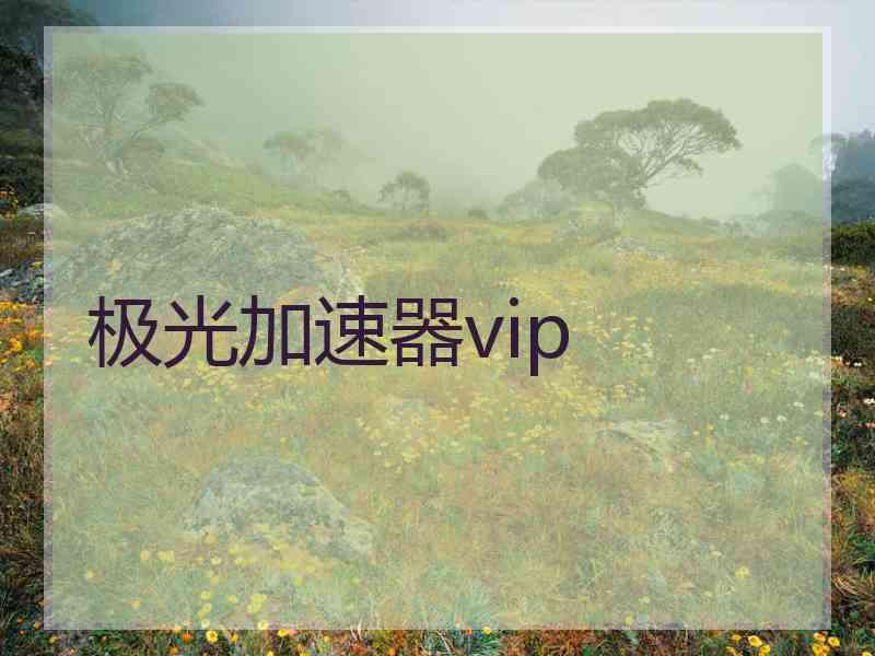 极光加速器vip