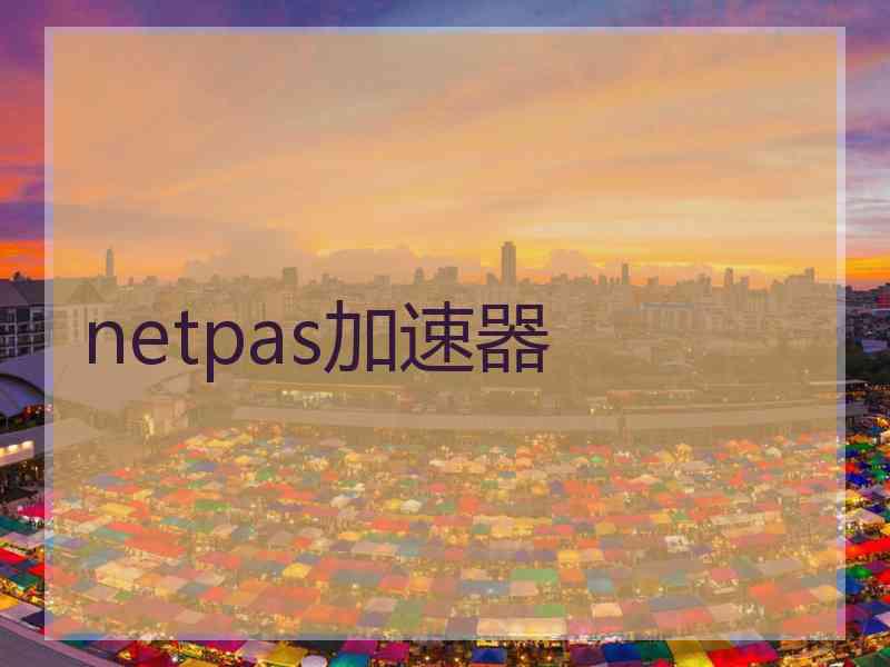 netpas加速器