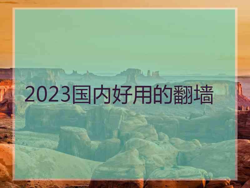 2023国内好用的翻墙