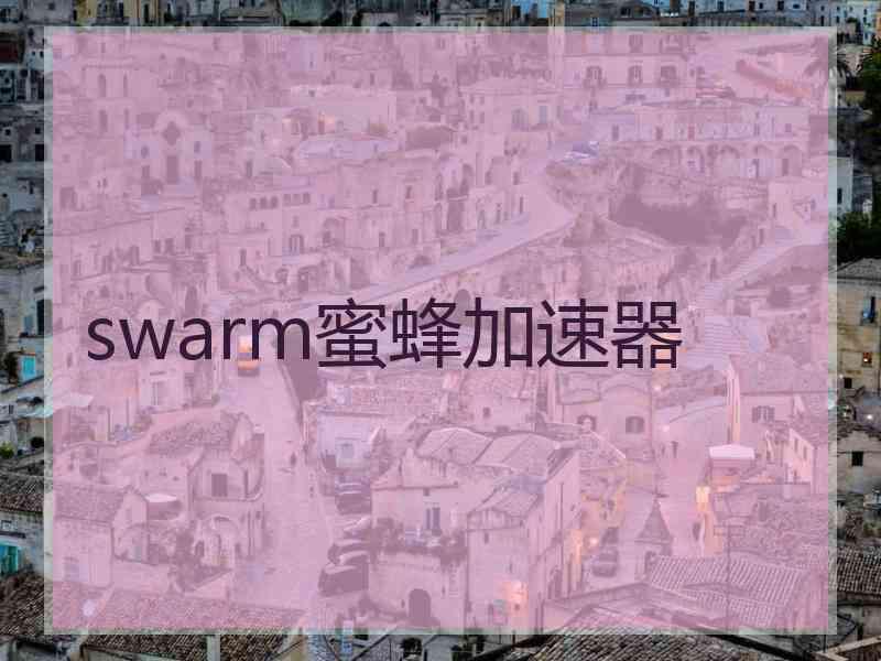 swarm蜜蜂加速器