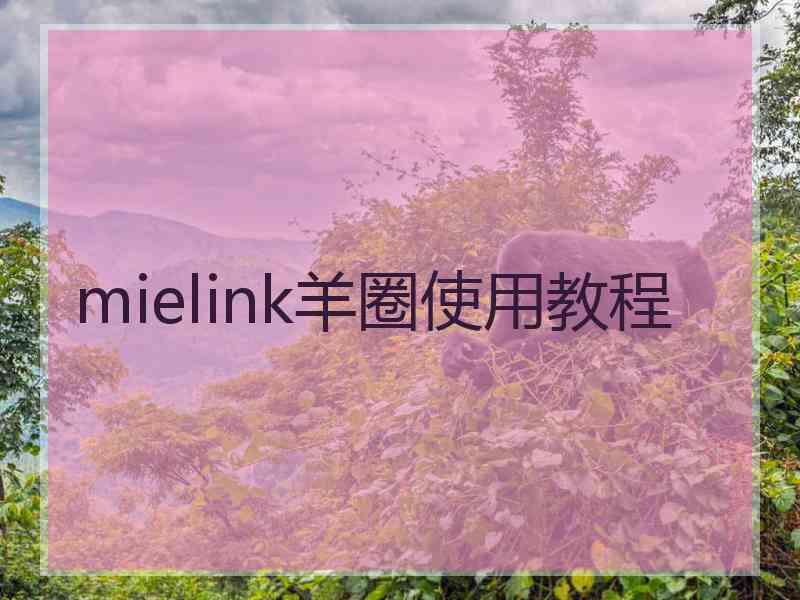 mielink羊圈使用教程