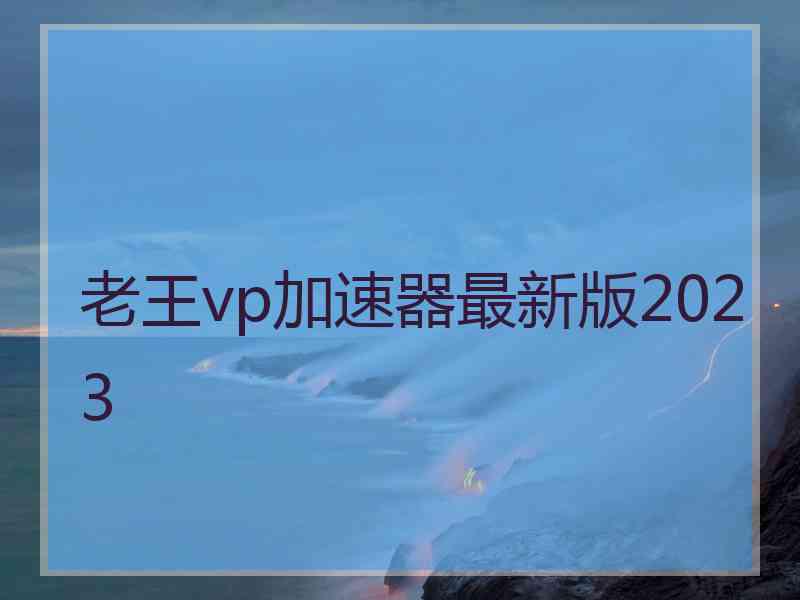 老王vp加速器最新版2023