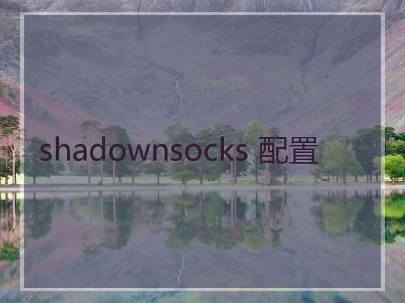 shadownsocks 配置