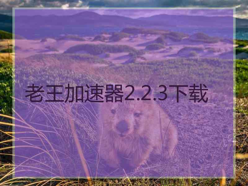 老王加速器2.2.3下载