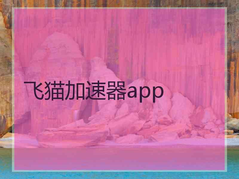 飞猫加速器app