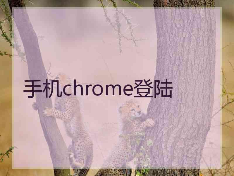 手机chrome登陆