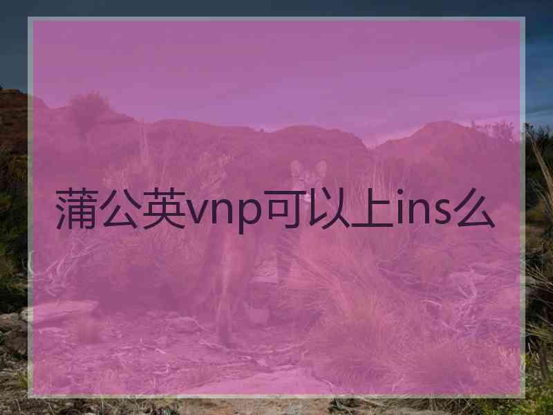 蒲公英vnp可以上ins么