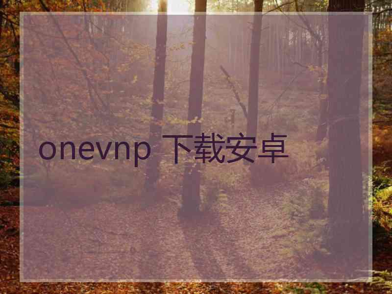 onevnp 下载安卓